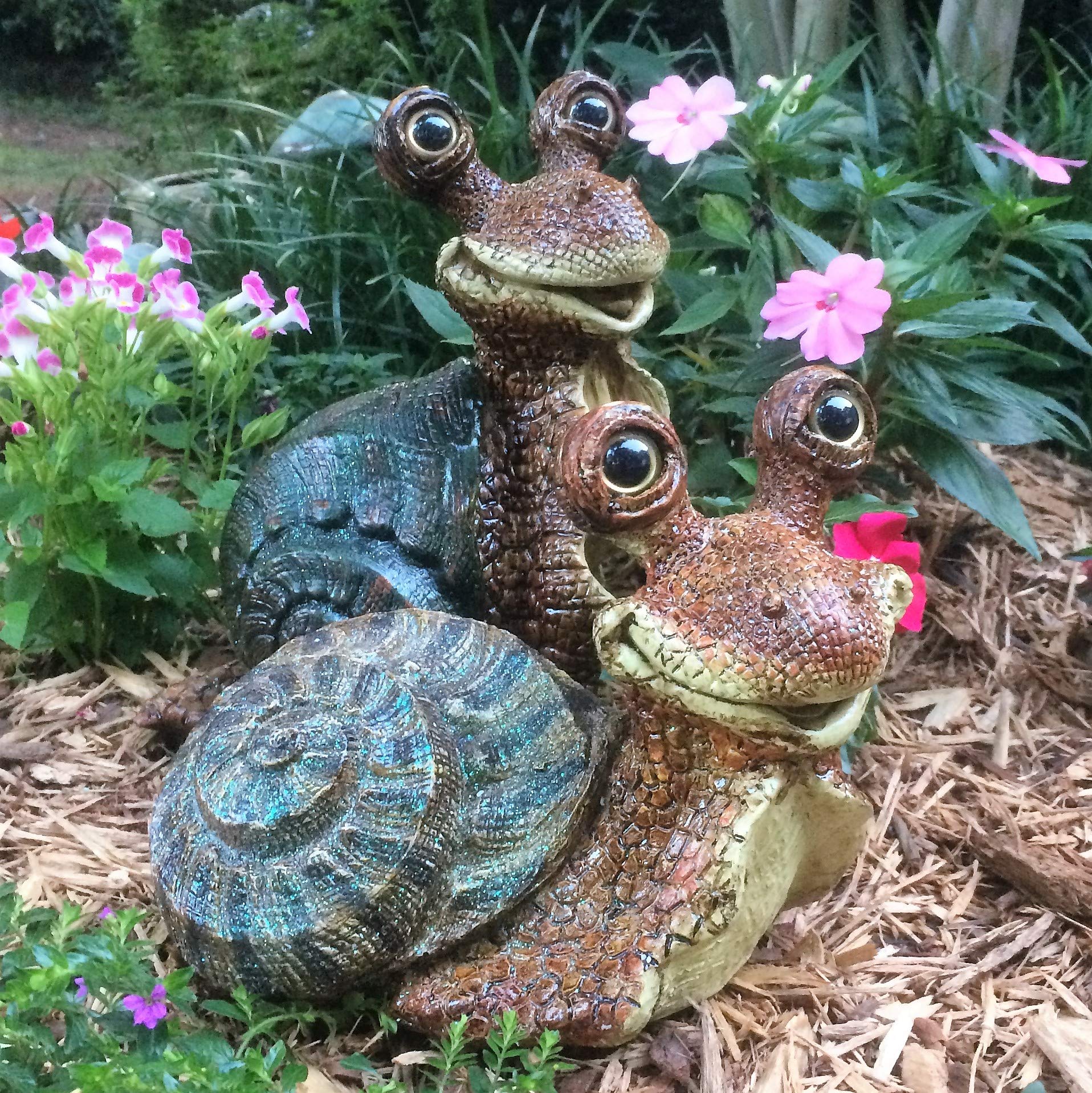 Amazon.com : Toad Hollow Homestyles Medium Snails Lying & Standing